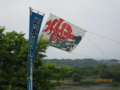 20090505094605