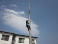f:id:simomail:20150402145826j:image