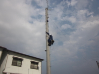 f:id:simomail:20150402155137j:image