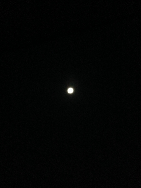 眠れない夜のお月様
