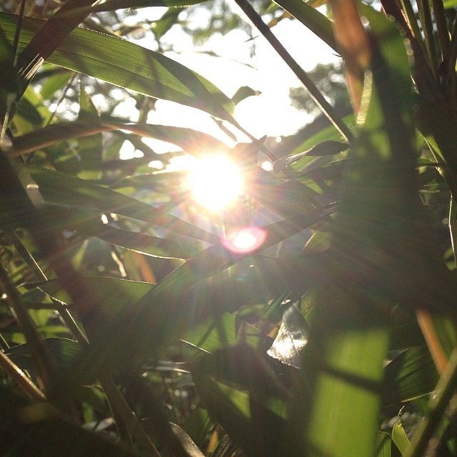 20140519