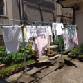 洗濯物20140613
