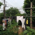 洗濯物20140617