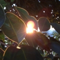 20150121175358