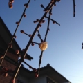20150206205302