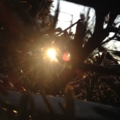 20150206205629