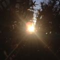 20150210192317
