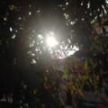 20150212172405