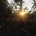 20150220072532