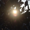20150221084801