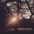 20150228173815