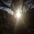 20150302194221