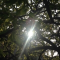 20150412194749