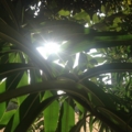 20150505100356