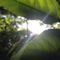 20150505100357