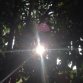 20150505100359