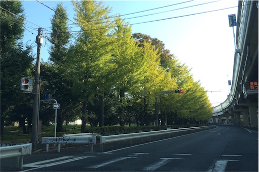 f:id:simone_tamao:20151015155241j:image f:id:simone_tamao:20151015155241j:image