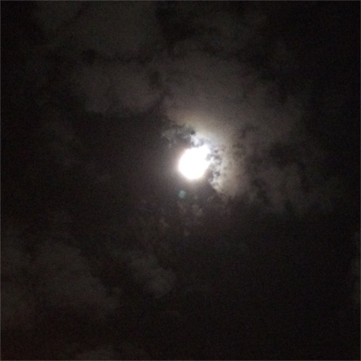 f:id:simone_tamao:20151027085434j:image f:id:simone_tamao:20151027085434j:image