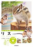 リス: 住まい、食べ物、接し方、病気のことがすぐわかる! (小動物 飼い方上手になれる!)