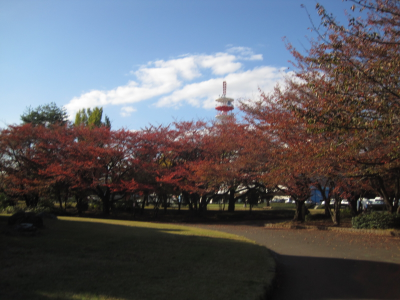 f:id:simotomitaiju:20121109142633j:image:w360
