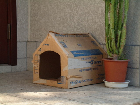 f:id:simpkin:20110923104701j:image f:id:simpkin:20110923104701j:image