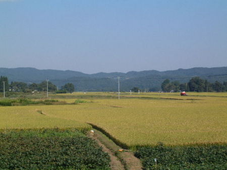f:id:simpkin:20110923104702j:image f:id:simpkin:20110923104702j:image
