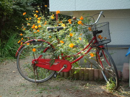 f:id:simpkin:20110923104703j:image f:id:simpkin:20110923104703j:image