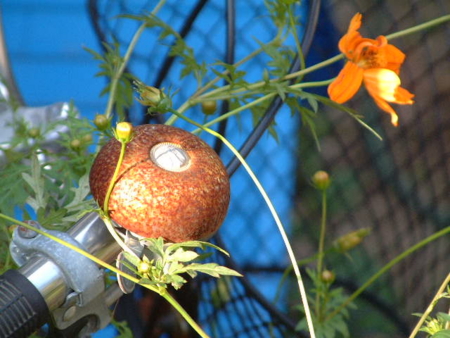 f:id:simpkin:20110923104704j:image f:id:simpkin:20110923104704j:image
