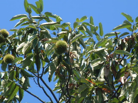 f:id:simpkin:20110923104705j:image f:id:simpkin:20110923104705j:image