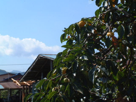 f:id:simpkin:20110923104708j:image f:id:simpkin:20110923104708j:image