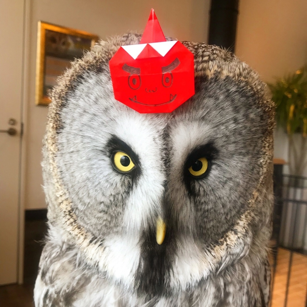 f:id:simple-kokyo:20180129133437j:plain f:id:simple-kokyo:20180129133437j:plain