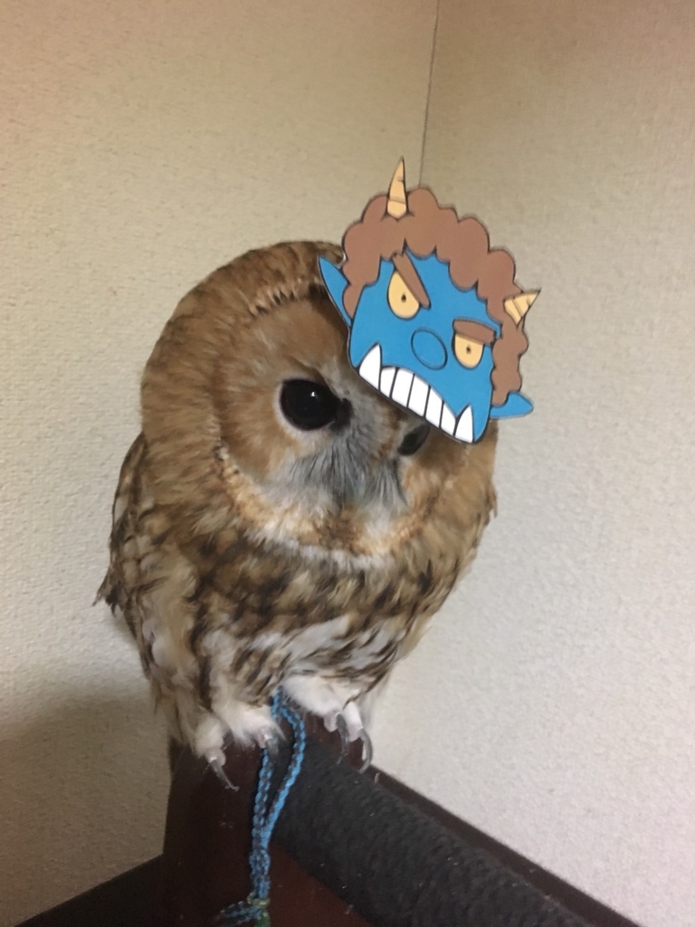 f:id:simple-kokyo:20180206124311j:plain f:id:simple-kokyo:20180206124311j:plain