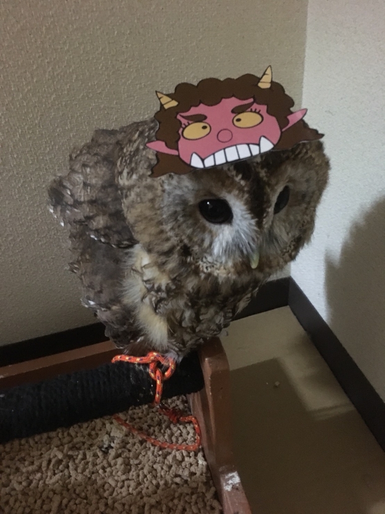 f:id:simple-kokyo:20180206124339j:plain f:id:simple-kokyo:20180206124339j:plain