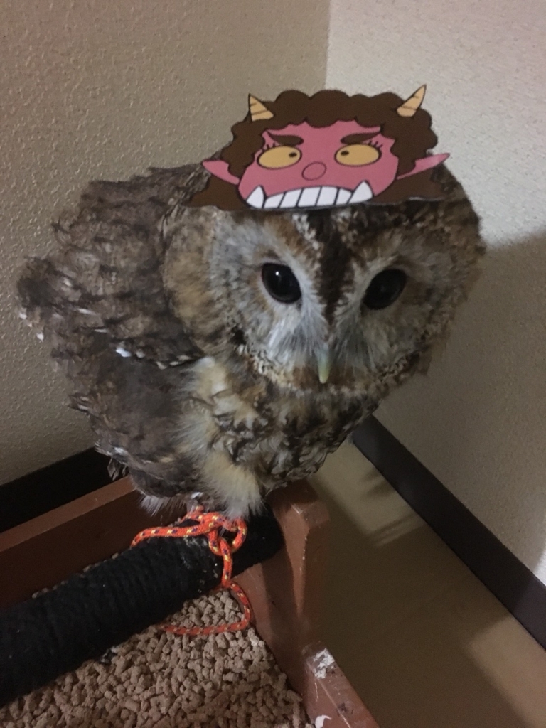 f:id:simple-kokyo:20180206124344j:plain f:id:simple-kokyo:20180206124344j:plain