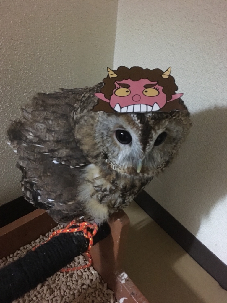 f:id:simple-kokyo:20180206124349j:plain f:id:simple-kokyo:20180206124349j:plain