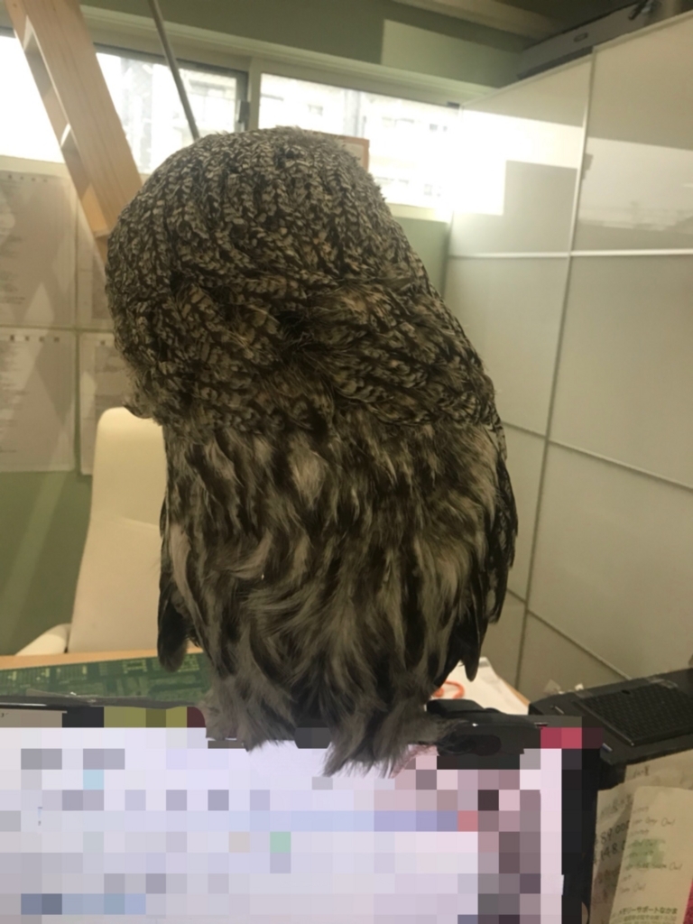 f:id:simple-kokyo:20180331115334j:plain f:id:simple-kokyo:20180331115334j:plain