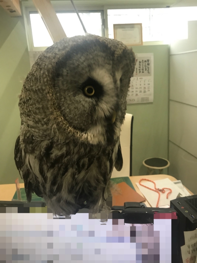 f:id:simple-kokyo:20180331115543j:plain f:id:simple-kokyo:20180331115543j:plain