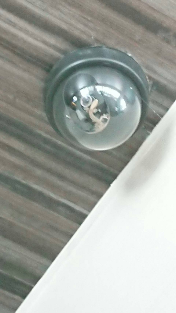f:id:simple-kokyo:20180408142336j:plain f:id:simple-kokyo:20180408142336j:plain