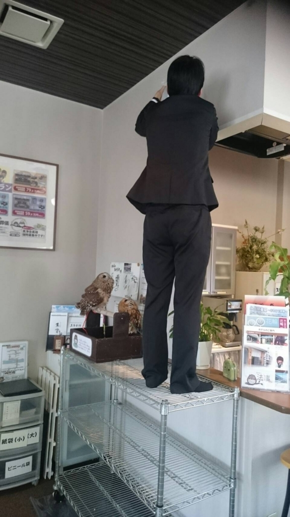 f:id:simple-kokyo:20180408142740j:plain f:id:simple-kokyo:20180408142740j:plain