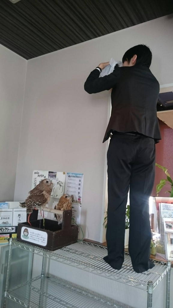 f:id:simple-kokyo:20180408143006j:plain f:id:simple-kokyo:20180408143006j:plain