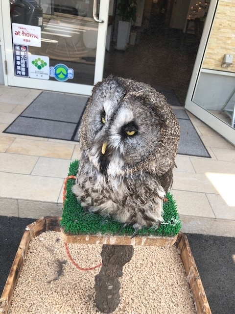 f:id:simple-kokyo:20180807114515j:plain f:id:simple-kokyo:20180807114515j:plain