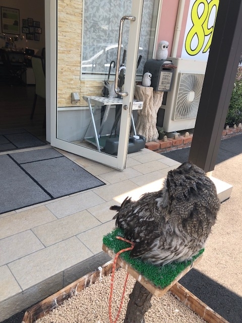 f:id:simple-kokyo:20180807114611j:plain f:id:simple-kokyo:20180807114611j:plain