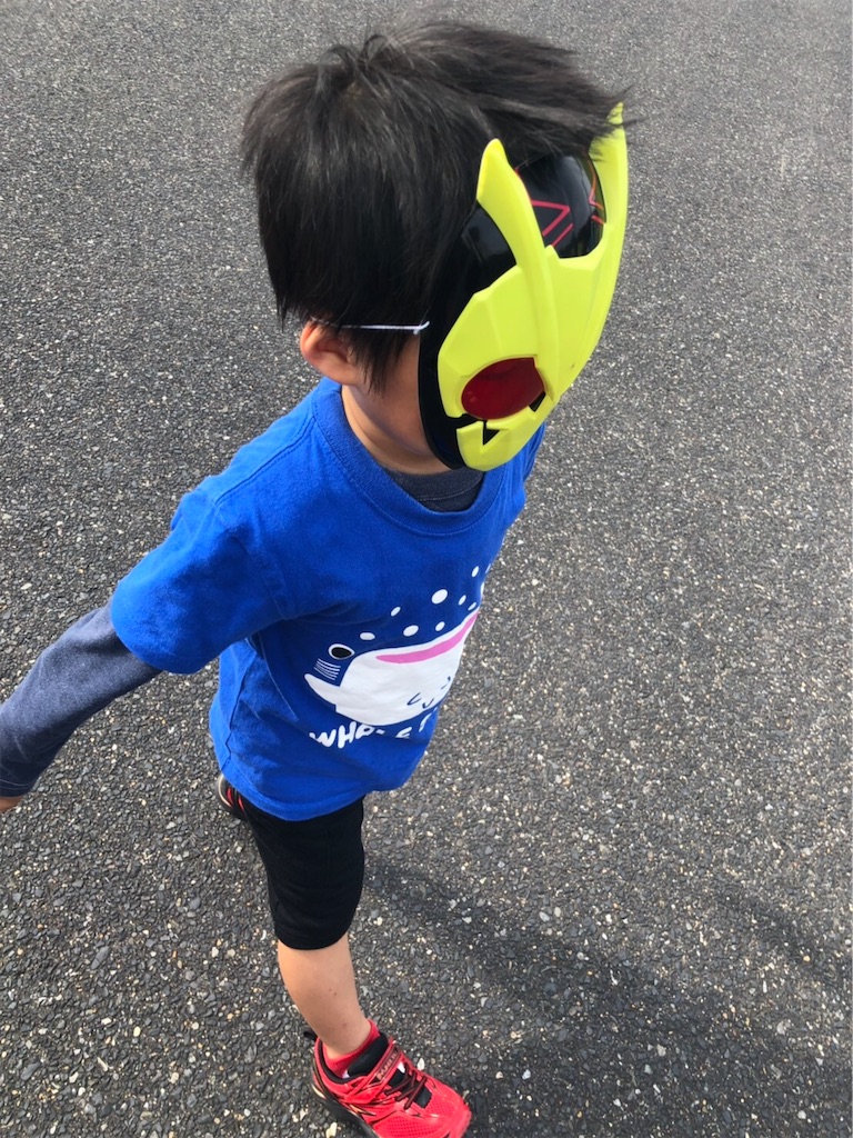 f:id:simple-kokyo:20191020183133j:image f:id:simple-kokyo:20191020183133j:image