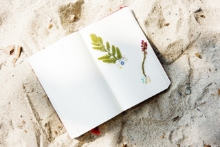 f:id:simple-life-diary:20171128171304j:plain f:id:simple-life-diary:20171128171304j:plain