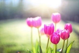 f:id:simple-life-diary:20180204140221j:plain f:id:simple-life-diary:20180204140221j:plain