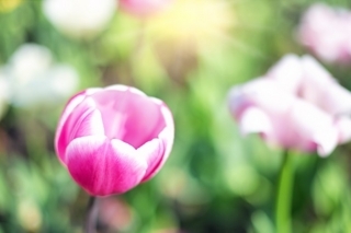 f:id:simple-life-diary:20180204140225j:plain f:id:simple-life-diary:20180204140225j:plain