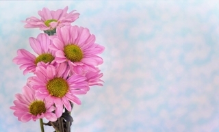 f:id:simple-life-diary:20180325101839j:plain f:id:simple-life-diary:20180325101839j:plain
