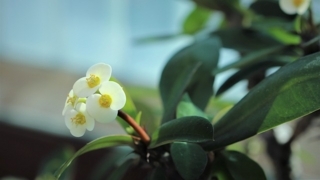f:id:simple-life-diary:20180407091827j:plain f:id:simple-life-diary:20180407091827j:plain