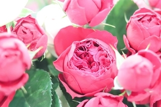 f:id:simple-life-diary:20180828153610j:plain f:id:simple-life-diary:20180828153610j:plain