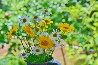 f:id:simple-life-diary:20180929093633j:plain f:id:simple-life-diary:20180929093633j:plain